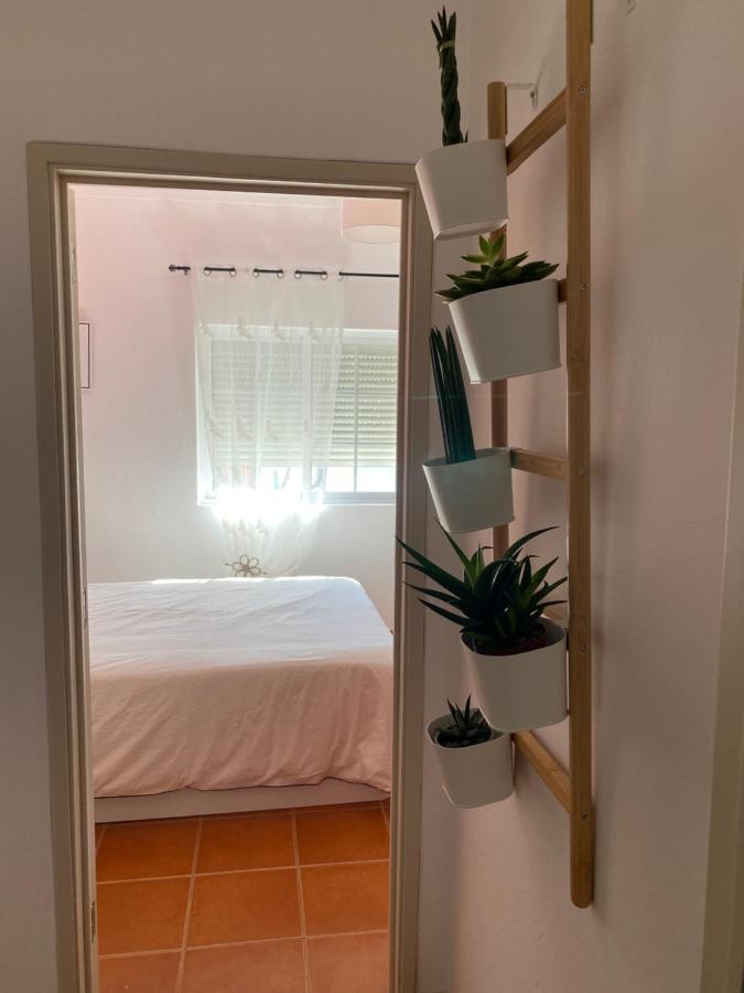 Apartamento Vicentino Vila Nova de Milfontes Εξωτερικό φωτογραφία