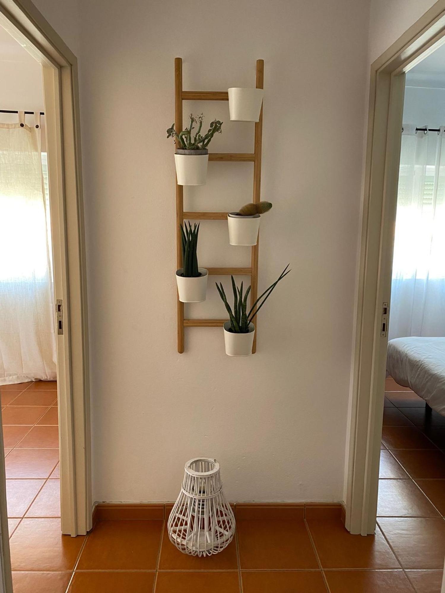 Apartamento Vicentino Vila Nova de Milfontes Εξωτερικό φωτογραφία