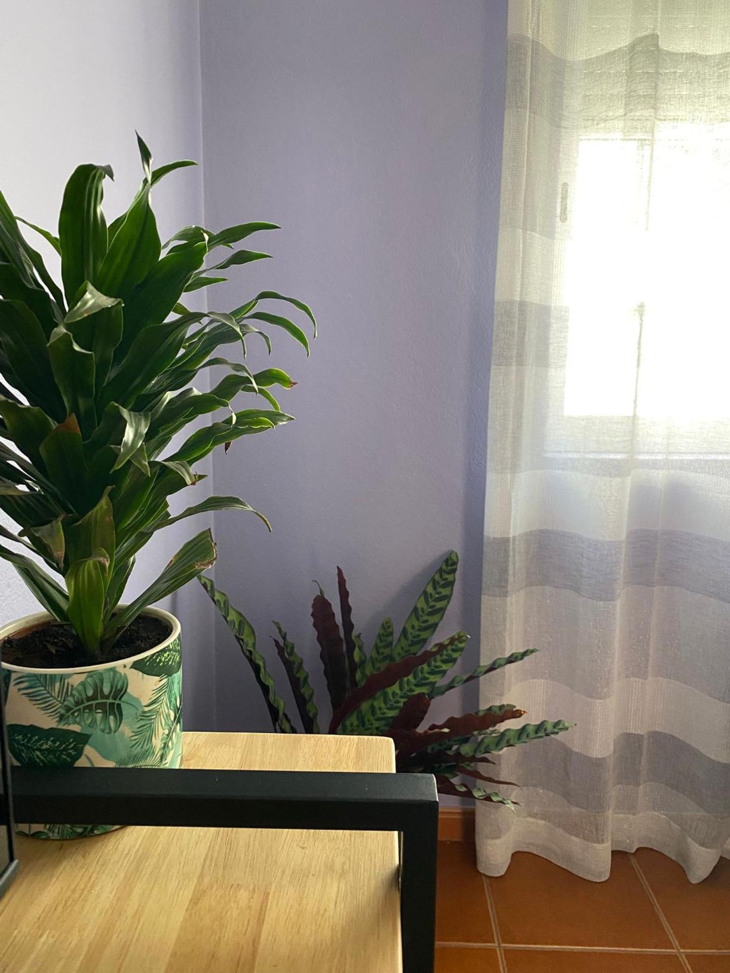 Apartamento Vicentino Vila Nova de Milfontes Εξωτερικό φωτογραφία